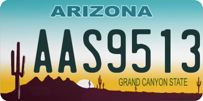 AZ license plate AAS9513