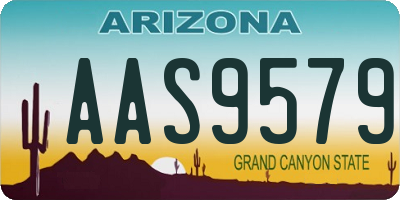 AZ license plate AAS9579