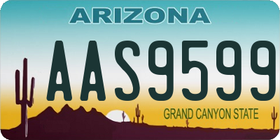 AZ license plate AAS9599