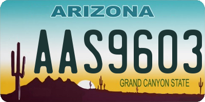 AZ license plate AAS9603