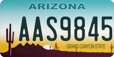 AZ license plate AAS9845