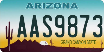 AZ license plate AAS9873