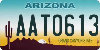 AZ license plate AAT0613