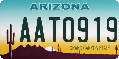 AZ license plate AAT0919