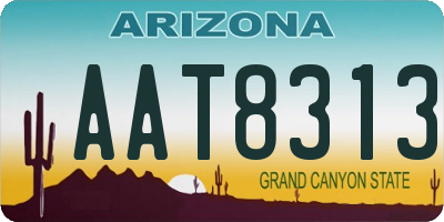 AZ license plate AAT8313