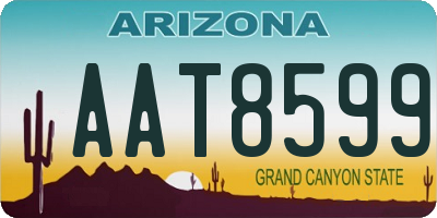 AZ license plate AAT8599