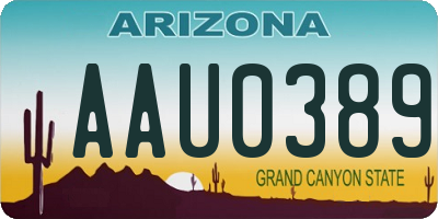 AZ license plate AAU0389