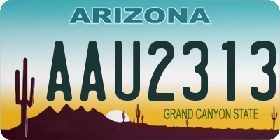 AZ license plate AAU2313