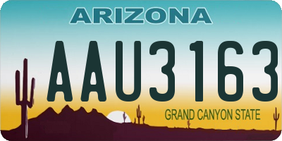 AZ license plate AAU3163