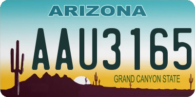 AZ license plate AAU3165