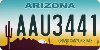 AZ license plate AAU3441