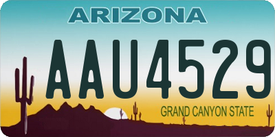 AZ license plate AAU4529