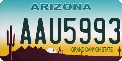 AZ license plate AAU5993