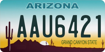 AZ license plate AAU6421