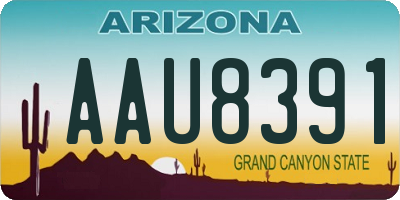 AZ license plate AAU8391