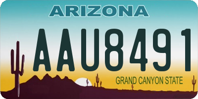 AZ license plate AAU8491