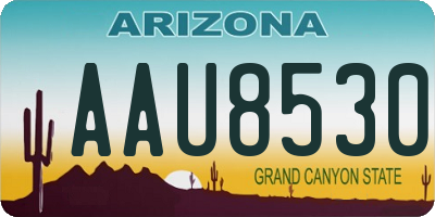 AZ license plate AAU8530