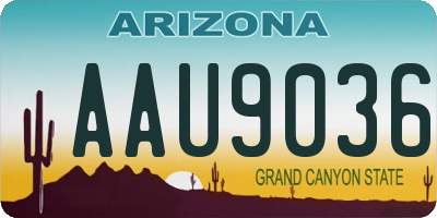 AZ license plate AAU9036