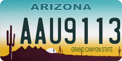 AZ license plate AAU9113