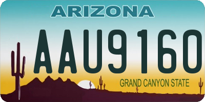 AZ license plate AAU9160