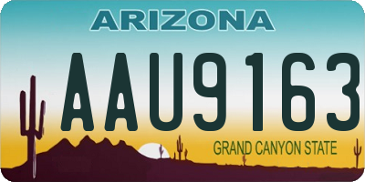 AZ license plate AAU9163