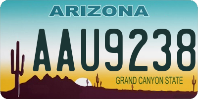 AZ license plate AAU9238