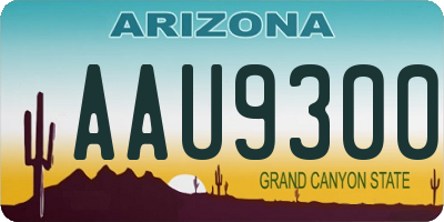 AZ license plate AAU9300