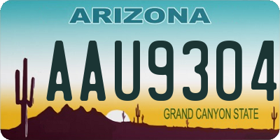 AZ license plate AAU9304