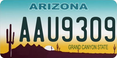 AZ license plate AAU9309