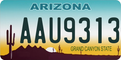 AZ license plate AAU9313