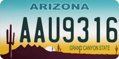 AZ license plate AAU9316