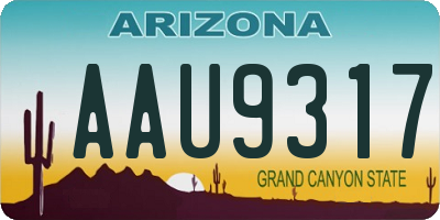 AZ license plate AAU9317