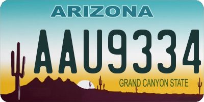 AZ license plate AAU9334