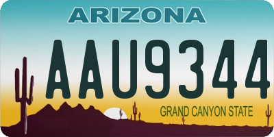 AZ license plate AAU9344