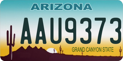 AZ license plate AAU9373