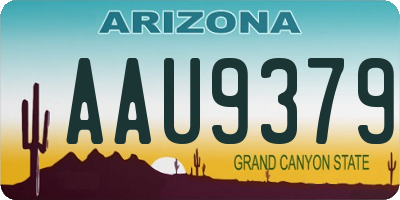 AZ license plate AAU9379