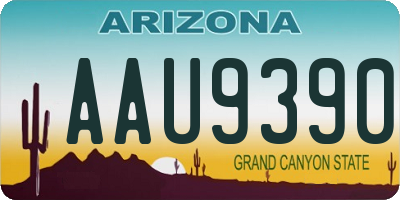 AZ license plate AAU9390