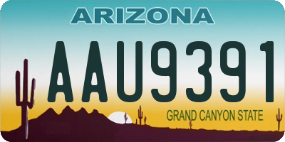 AZ license plate AAU9391