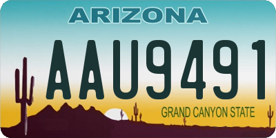 AZ license plate AAU9491