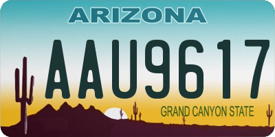AZ license plate AAU9617