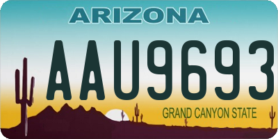 AZ license plate AAU9693