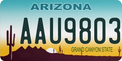 AZ license plate AAU9803