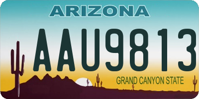 AZ license plate AAU9813
