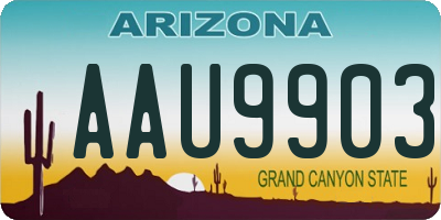 AZ license plate AAU9903