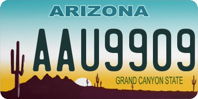 AZ license plate AAU9909