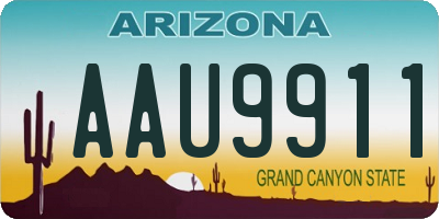 AZ license plate AAU9911