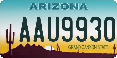 AZ license plate AAU9930