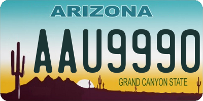 AZ license plate AAU9990
