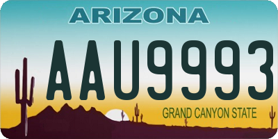 AZ license plate AAU9993