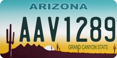 AZ license plate AAV1289